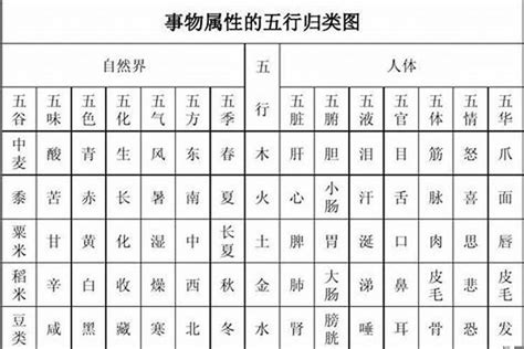 思字五行|思字的五行属性是什么